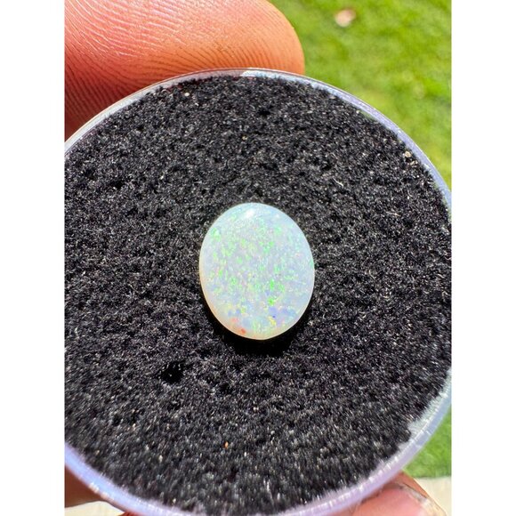 Australian Opal Cabochon - 0.90 carat in Display Box #189 - Picture 8 of 8
